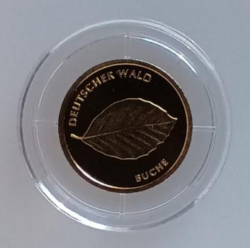 20 € Gold 2013 Wald Buche J stgl