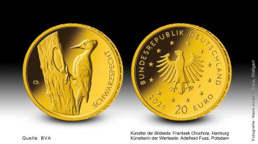 20 € Gold 2021 Vögel Schwarzspecht G stgl
